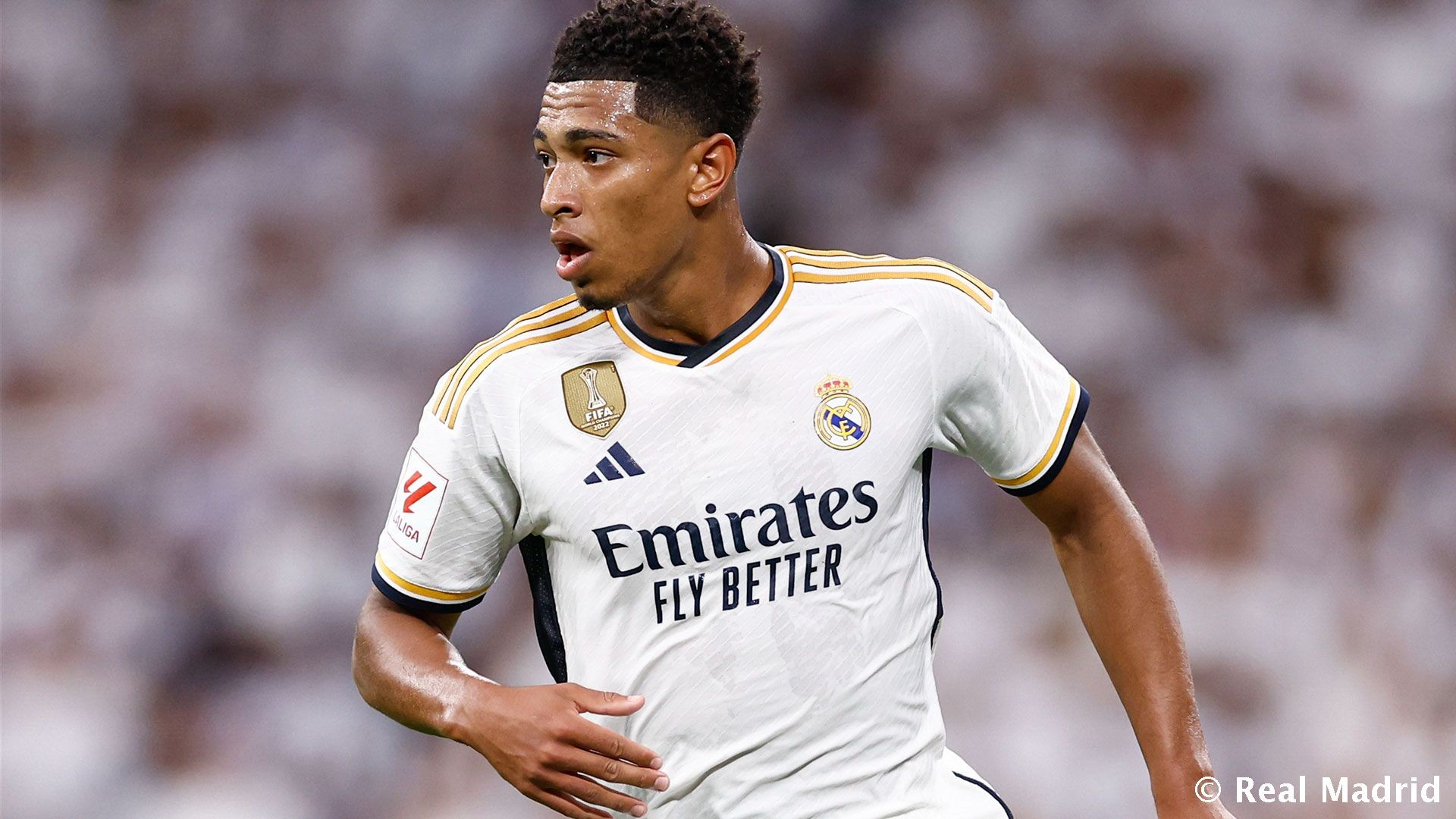 她在轮椅上“投中”梦想（轮椅上的她，投进了梦想）